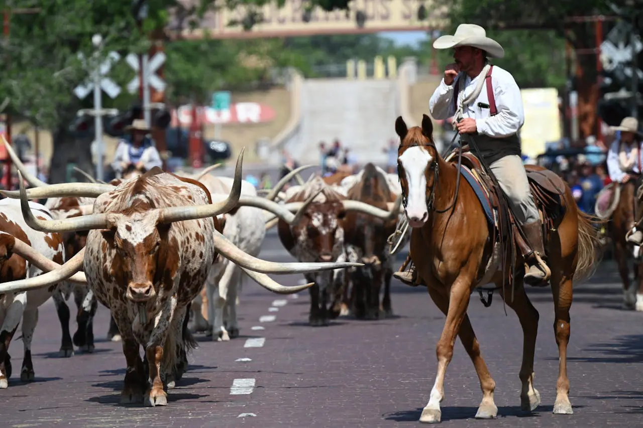 5 Things to Do for RV Campers in Fort Worth, TX
