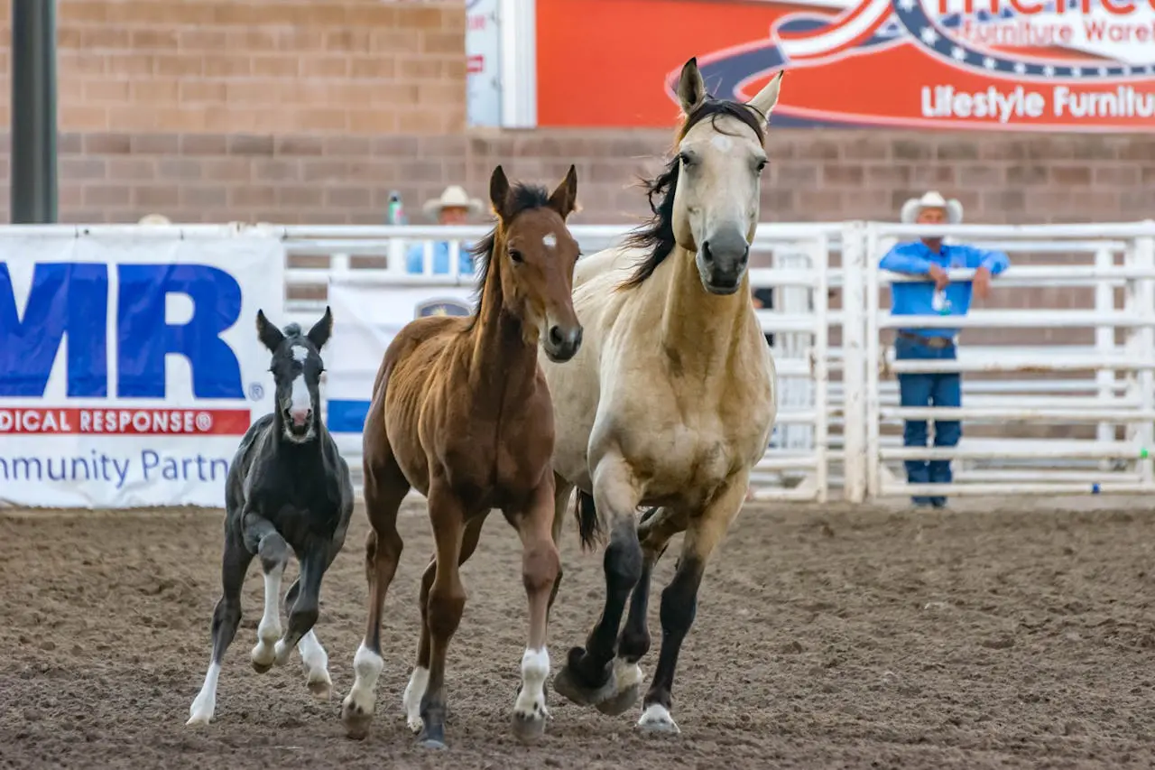 Best RV Park for Will Rogers Memorial Center Exhibitions & Rodeo Events