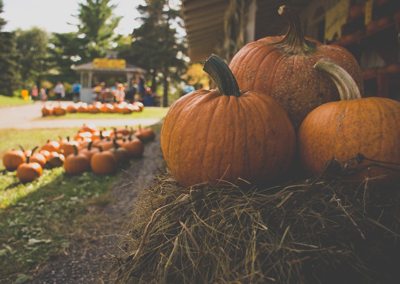Things to Do Near Haslet, TX This Fall