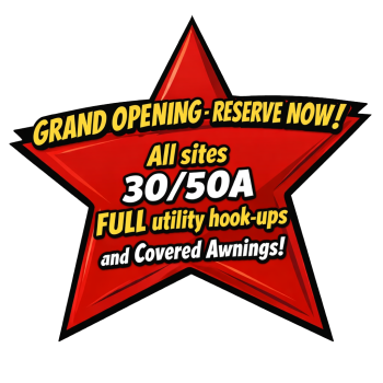 Grand Opening Willow Run Star